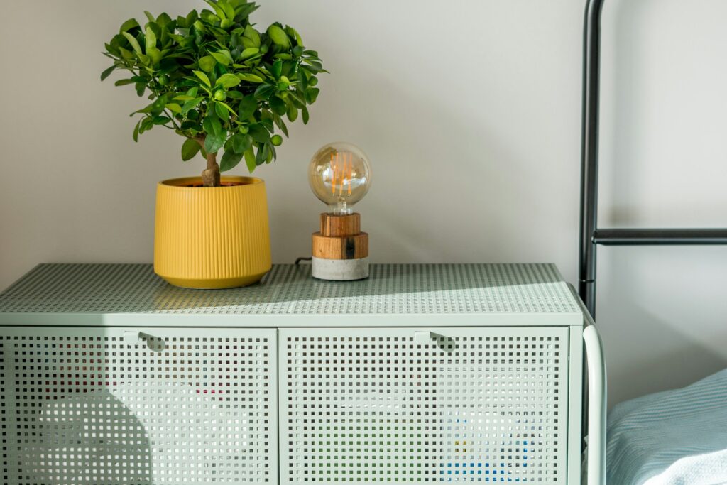A green plant sitting on top of a green cabinet